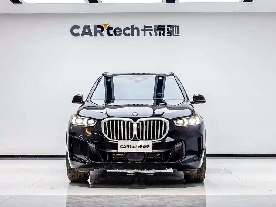 BMW X5 — миниатюра 2