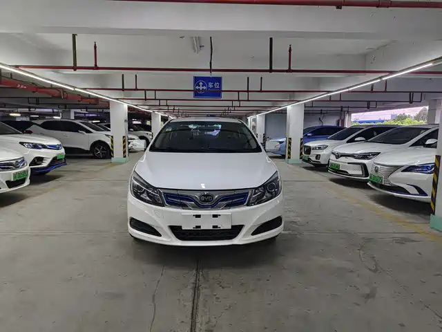 2019 BYD E5