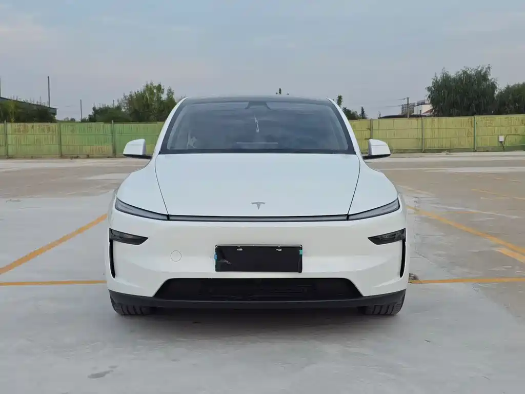Tesla Model Y — миниатюра 2