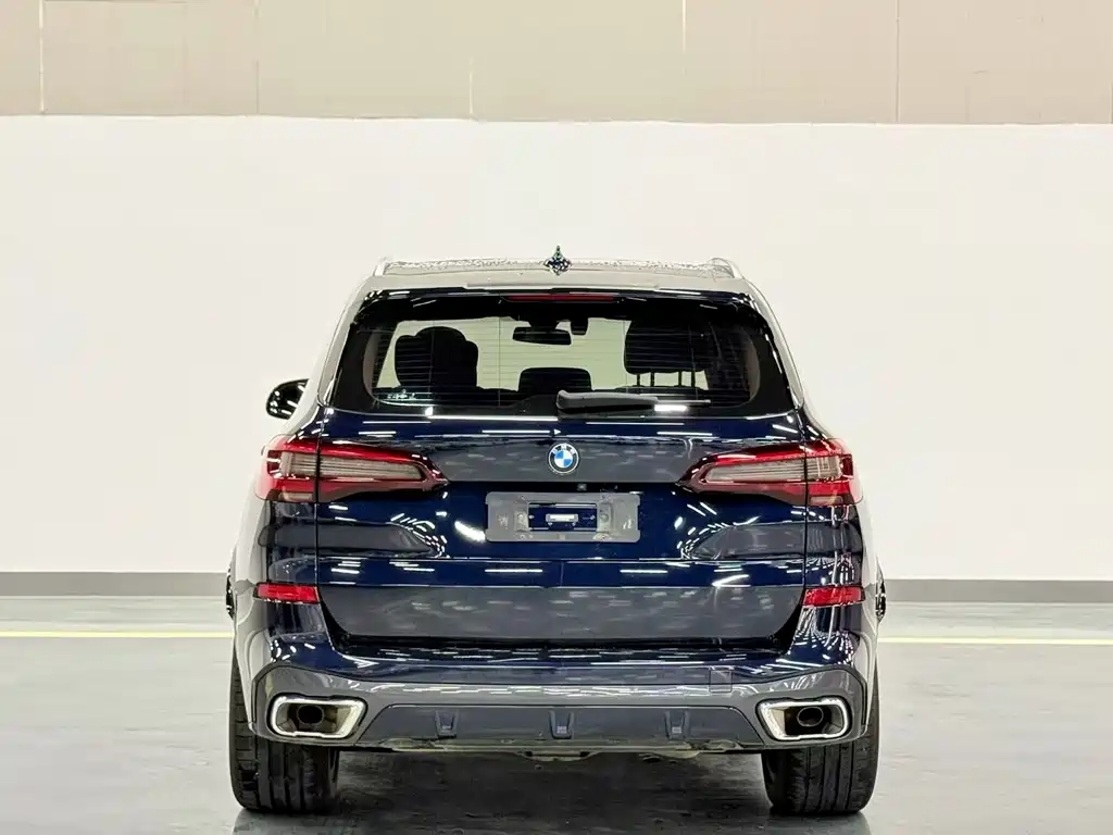 BMW X5 — миниатюра 8