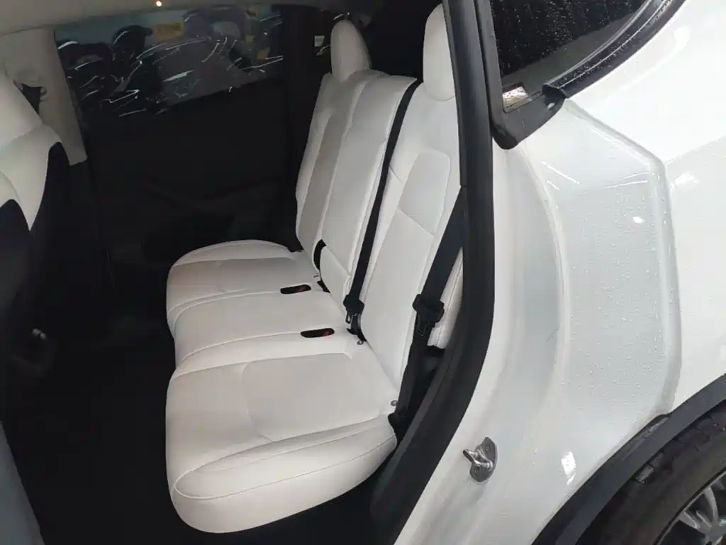 Tesla Model Y — миниатюра 17