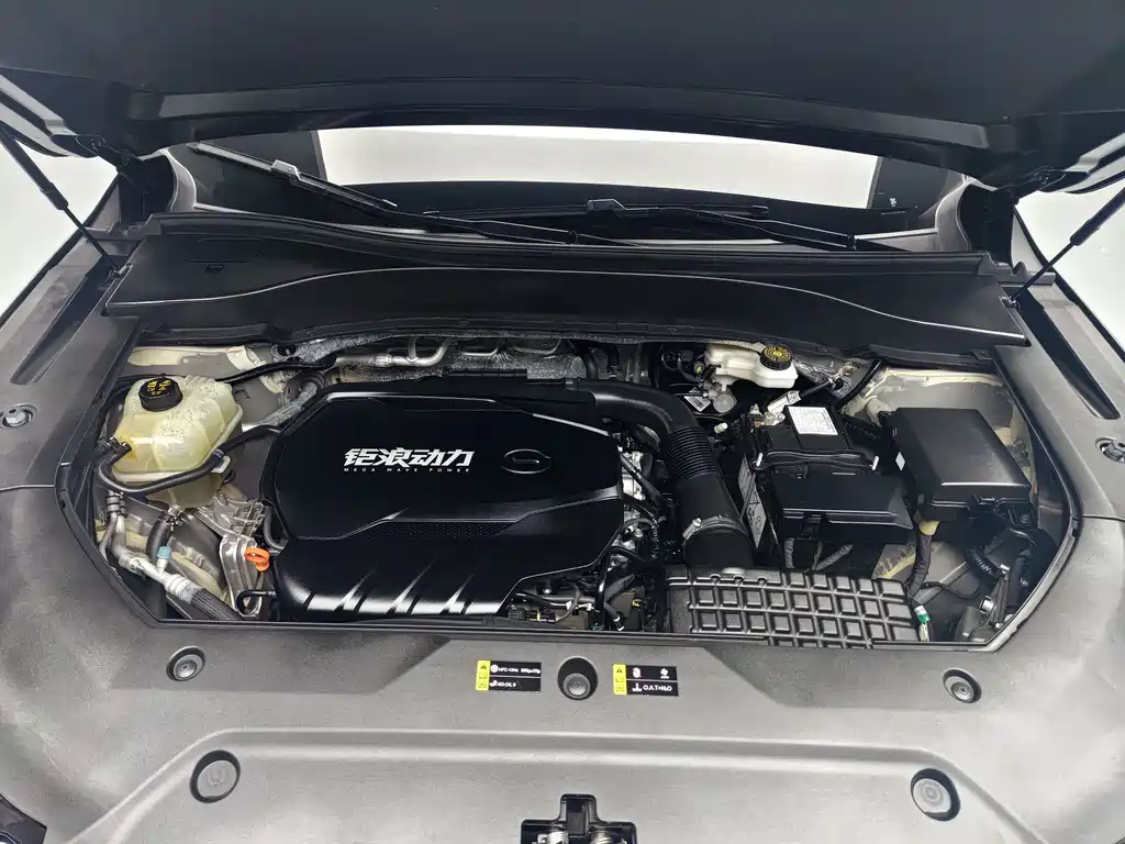 GAC Motor Trumpchi GS8 — миниатюра 2