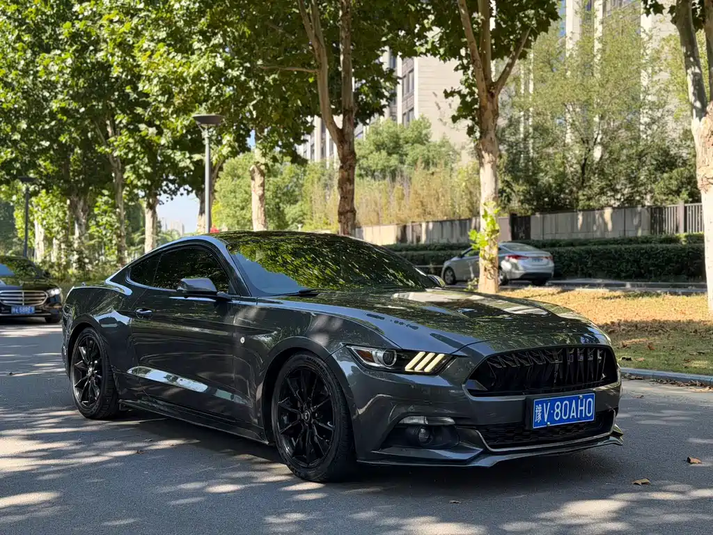Ford Mustang — миниатюра 2