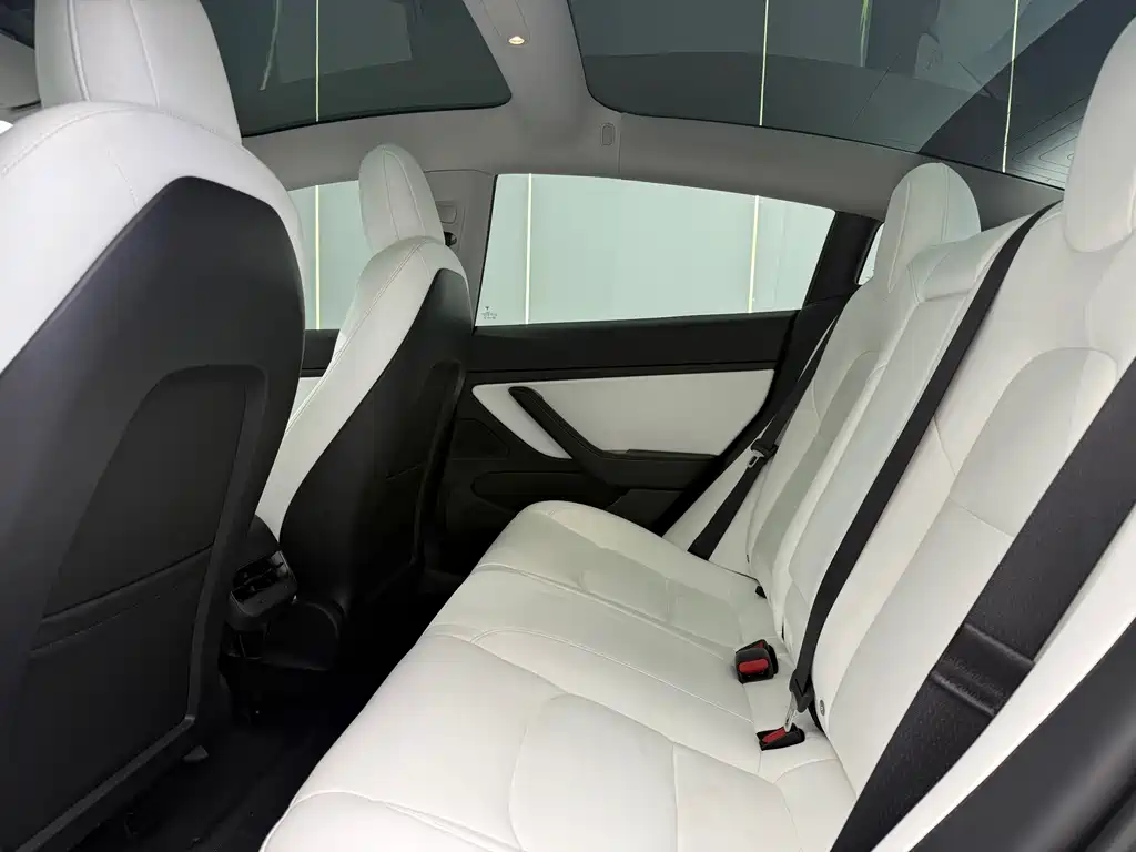 Tesla Model 3 — миниатюра 10