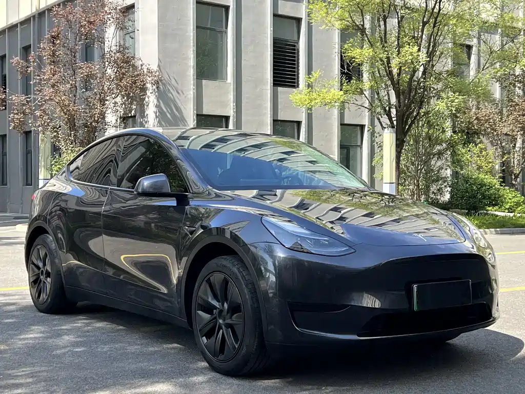 Tesla Model Y — миниатюра 3