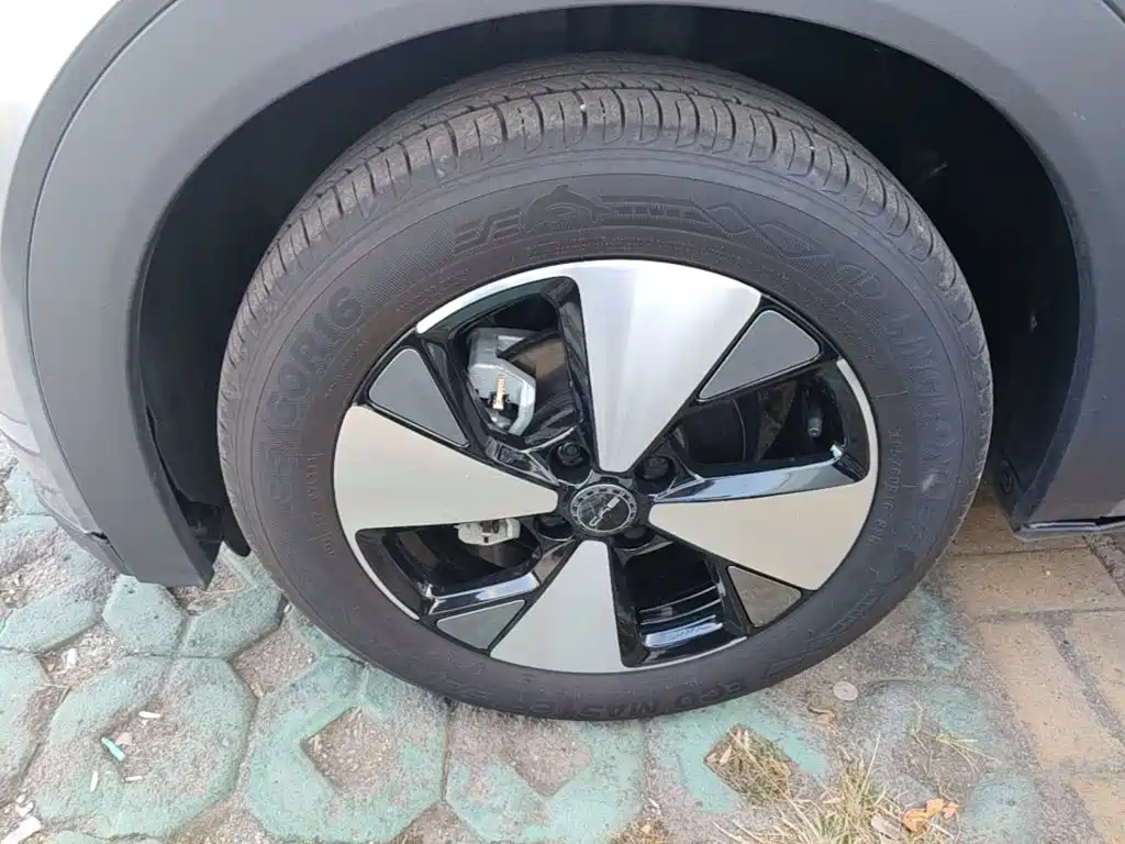 BYD Dolphin — миниатюра 23
