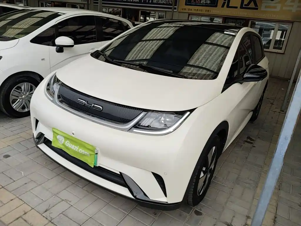 BYD Dolphin