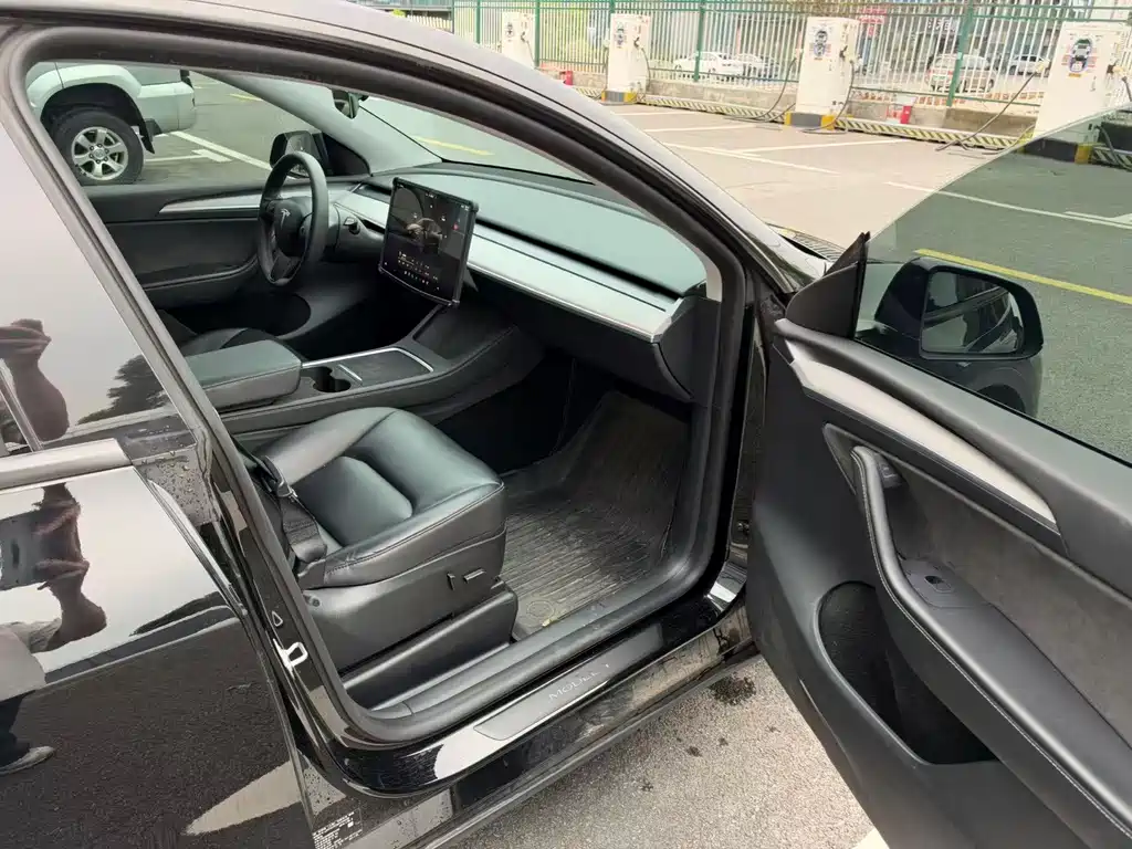 Tesla Model Y — миниатюра 15