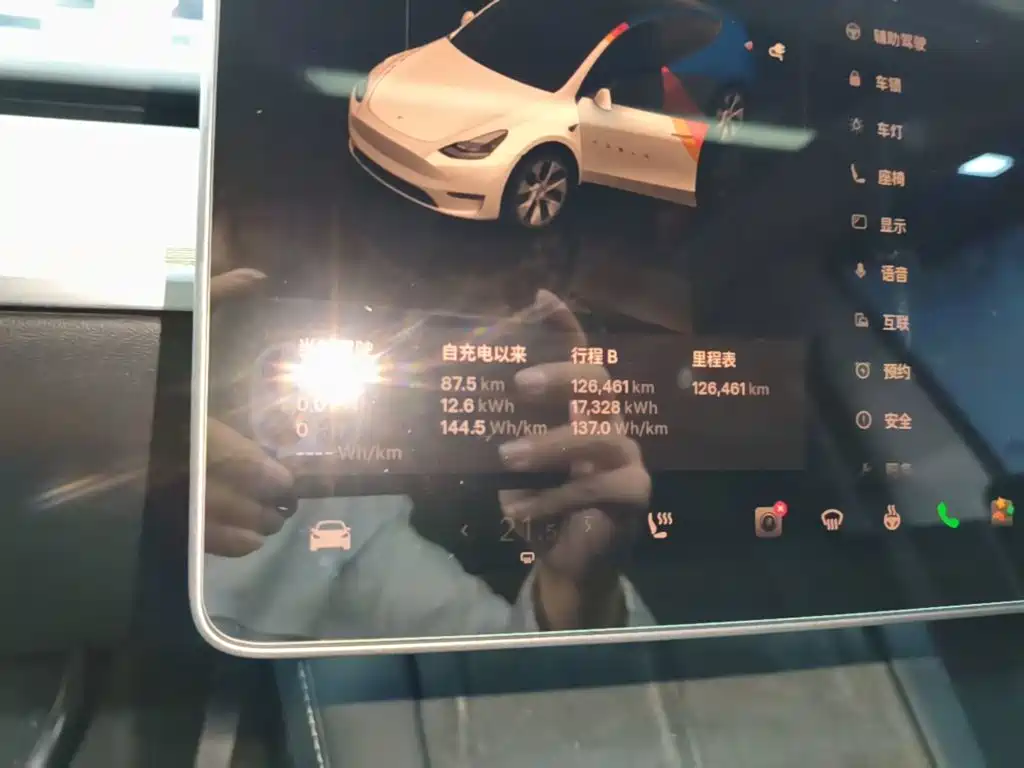 Tesla Model Y — миниатюра 12