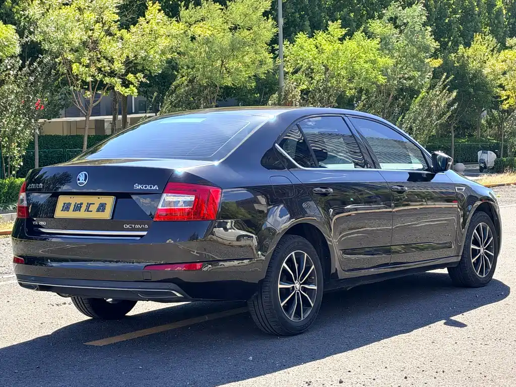 Skoda Octavia — миниатюра 5