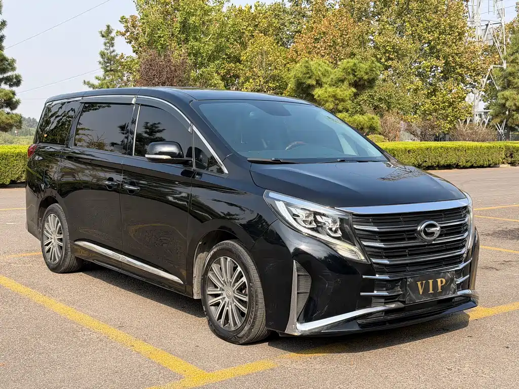 GAC Motor Trumpchi M8 — миниатюра 2