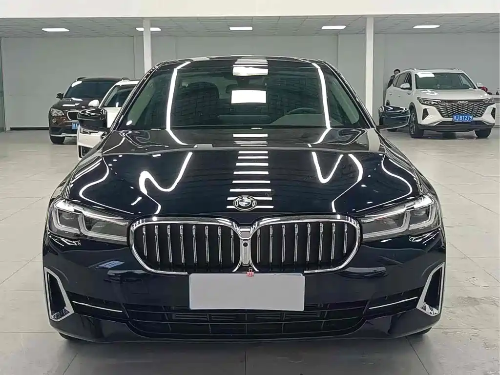 BMW 5 Series — миниатюра 2