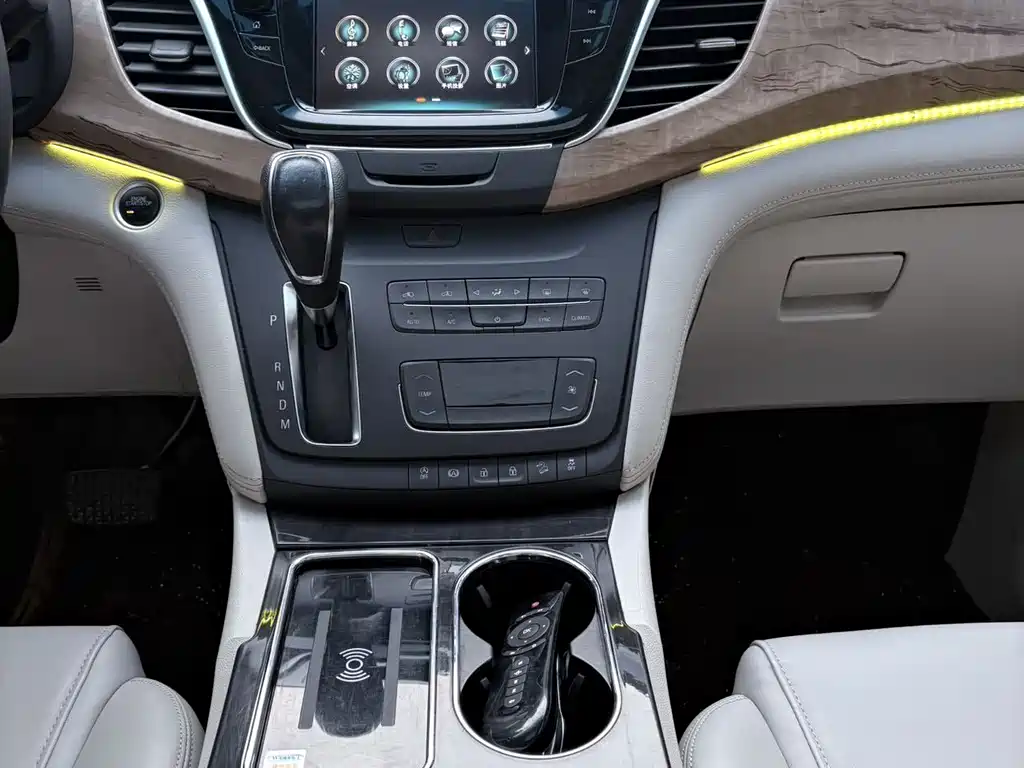 Buick GL8 — миниатюра 6