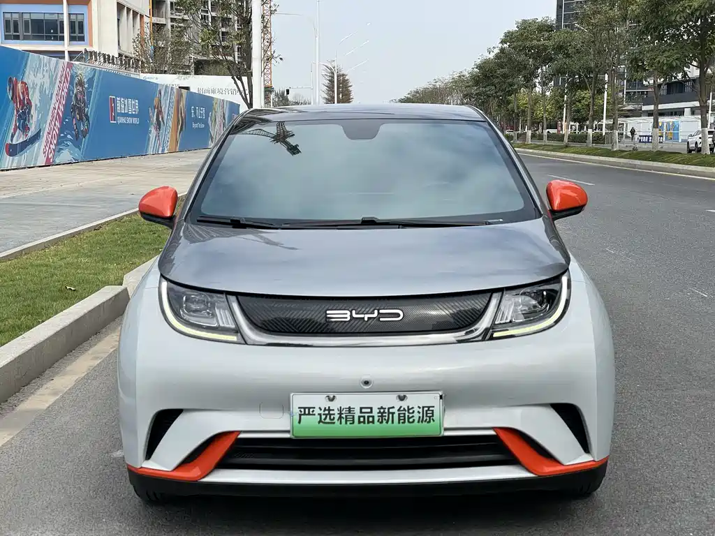 BYD DOLPHIN