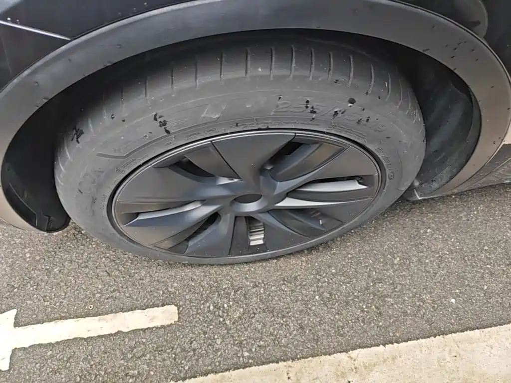 Tesla Model Y — миниатюра 23