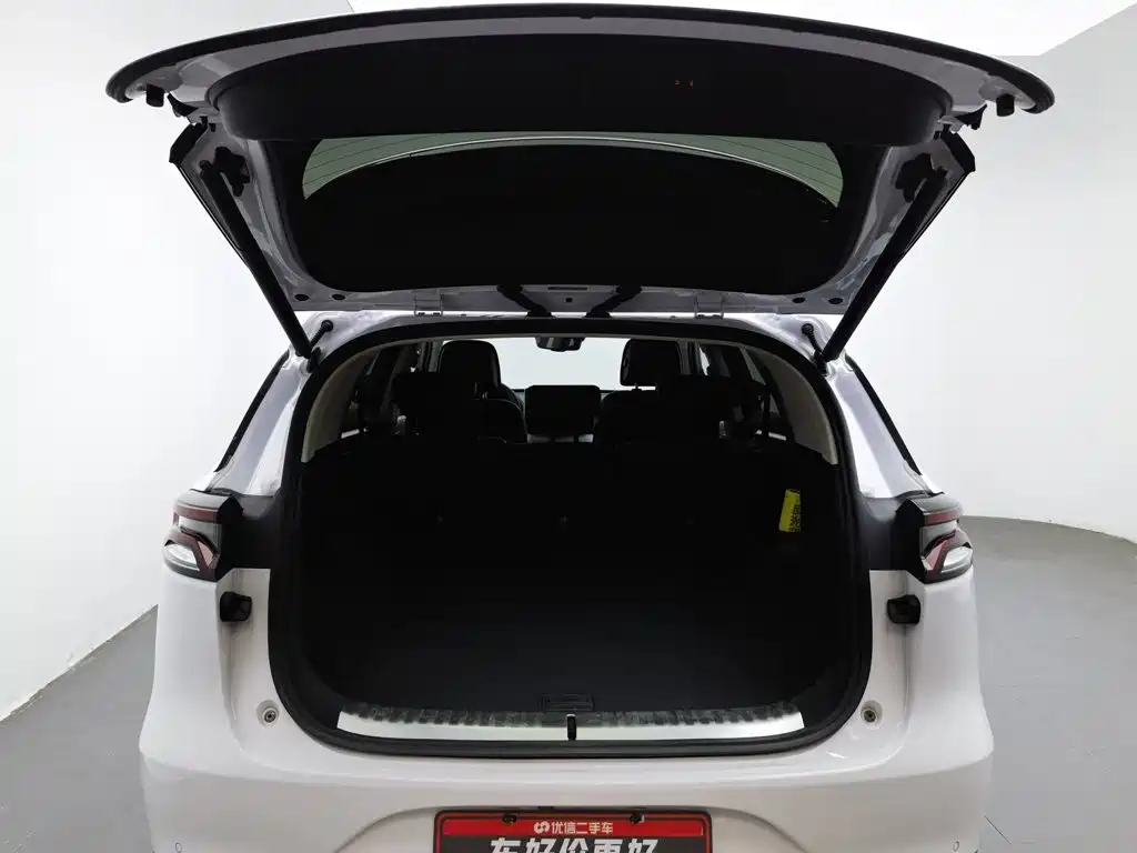 BYD Tang New Energy — миниатюра 16