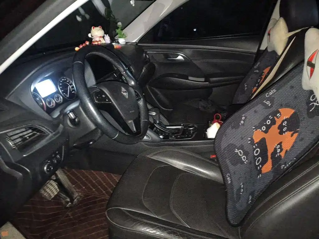 Borgward BX7 — миниатюра 11