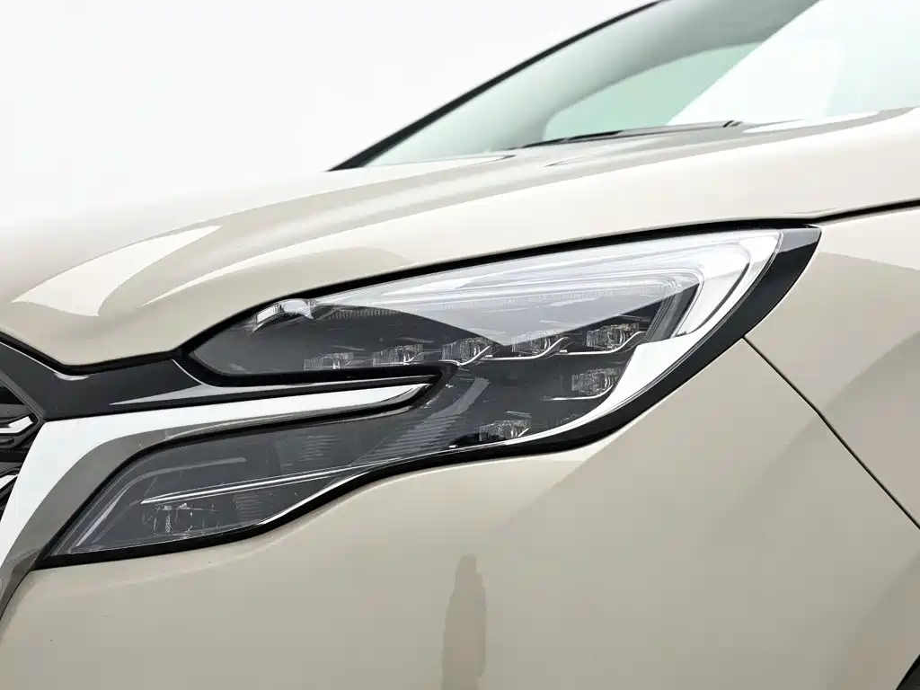Buick GL8 — миниатюра 9