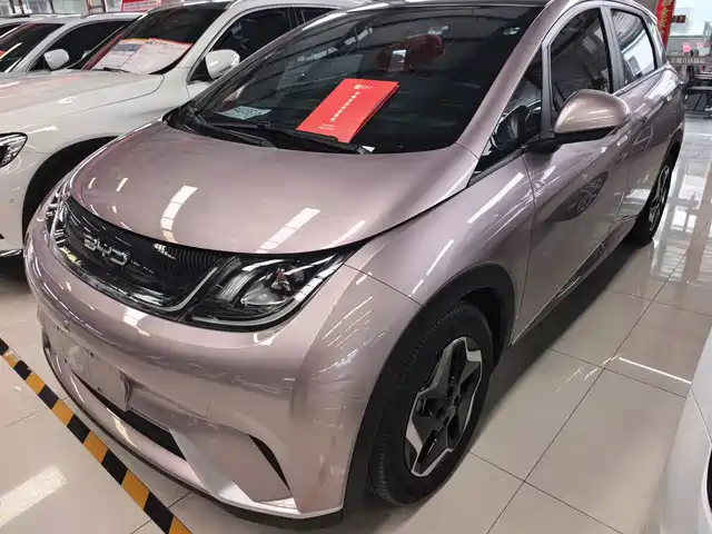 BYD Dolphin