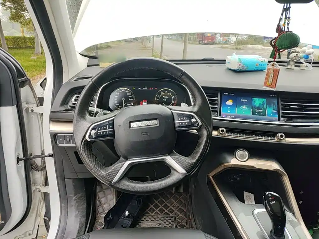 Haval H6 — миниатюра 11