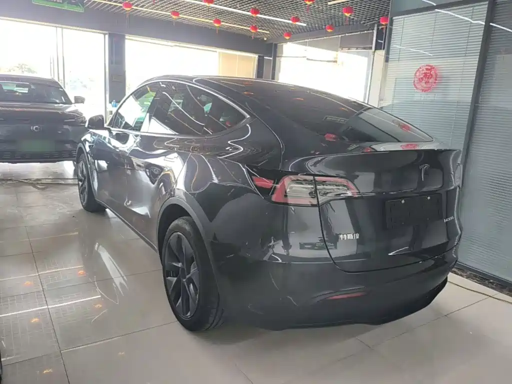Tesla Model Y — миниатюра 5