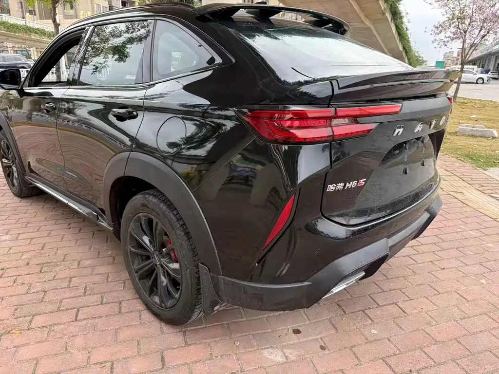HAVAL H6S