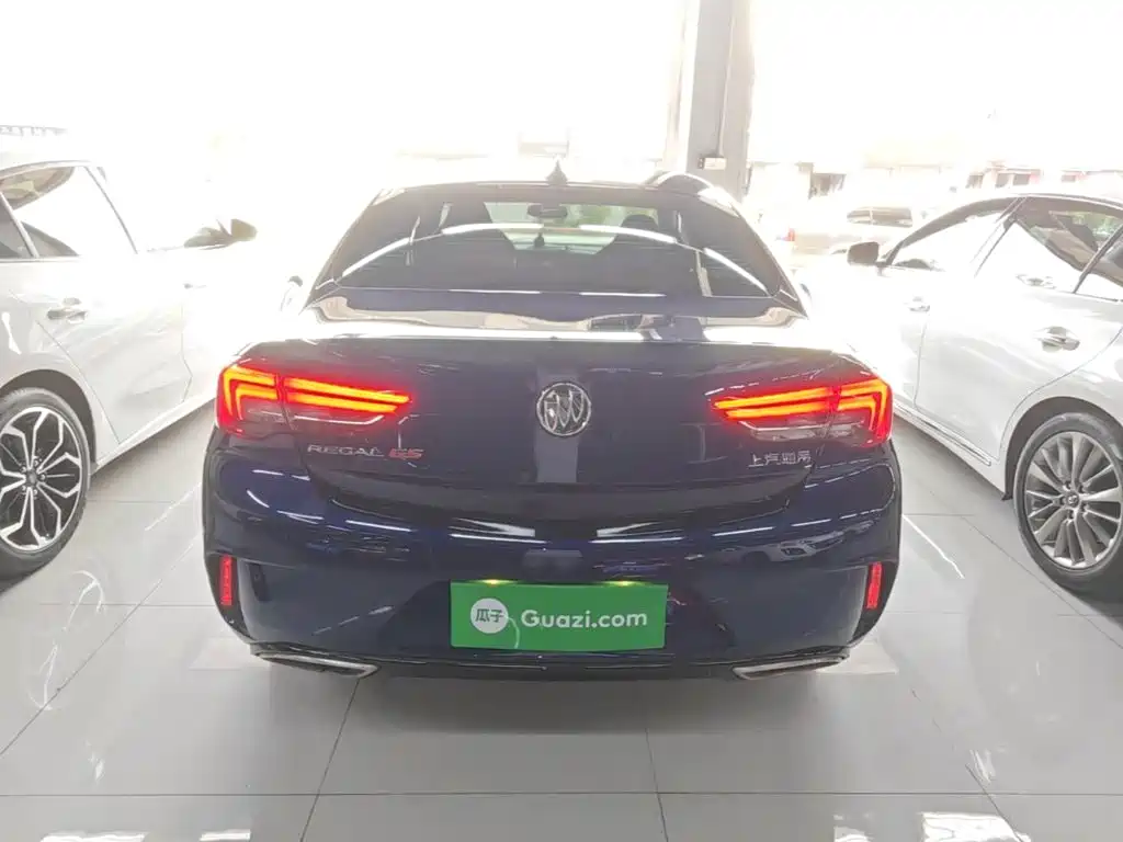 Buick Regal — миниатюра 6