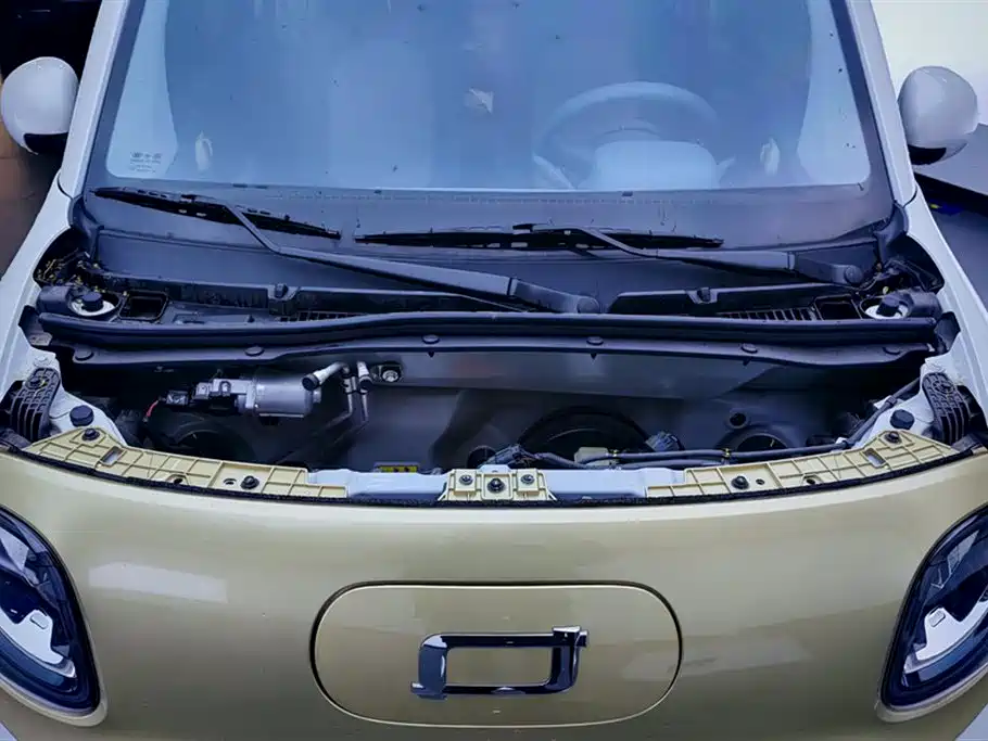 BESTUNE PENTIUM PONY