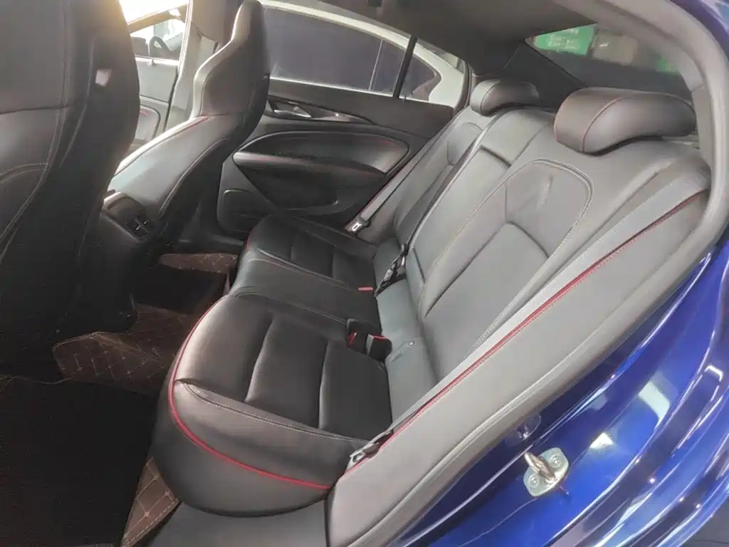 Buick Regal — миниатюра 17