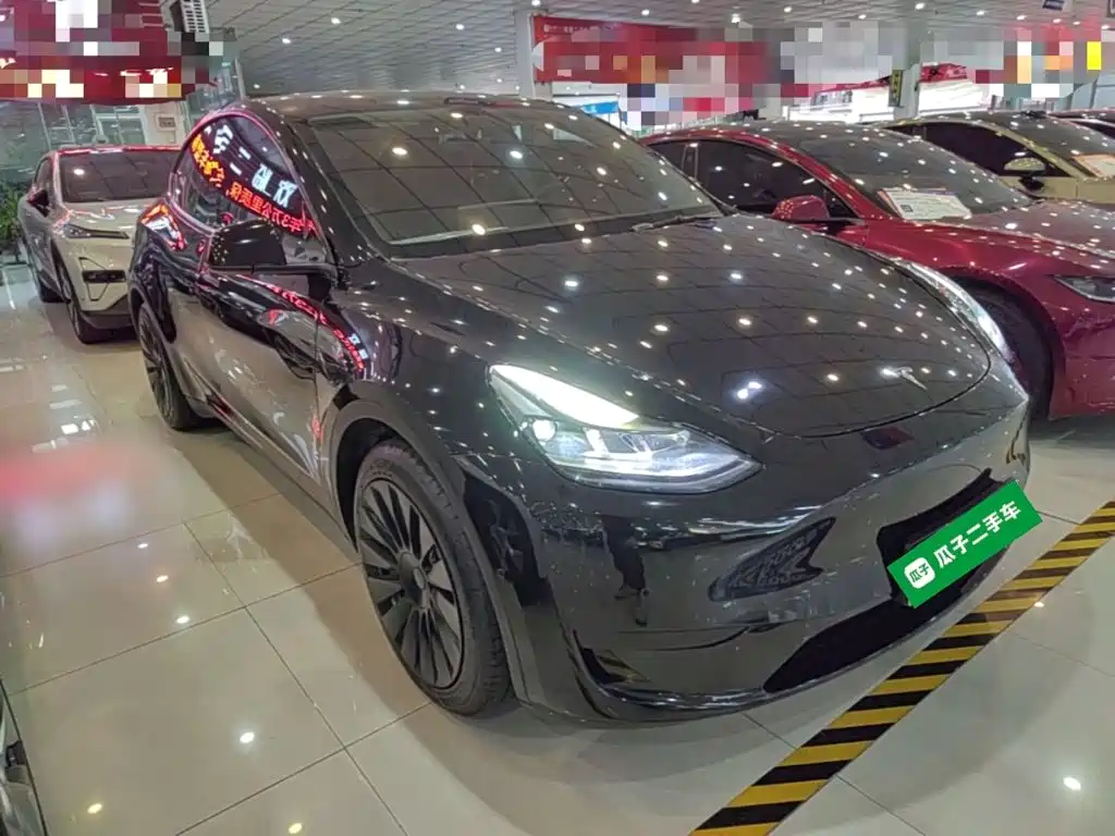 Tesla Model Y — миниатюра 4