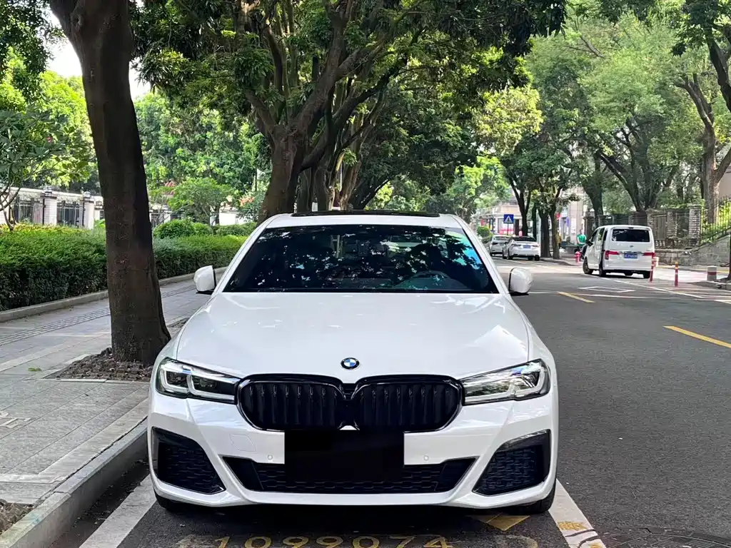 BMW 5 Series (Import) — миниатюра 2