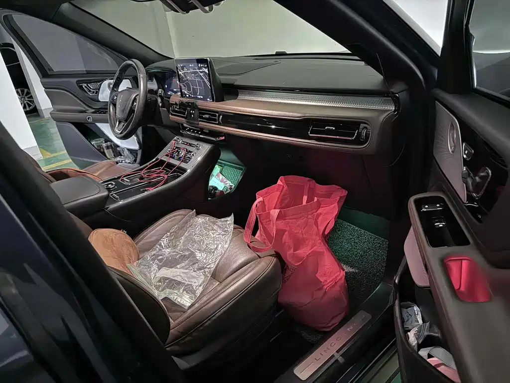 LINCOLN FLYING HOME NEW ENERGY (IMPORT)