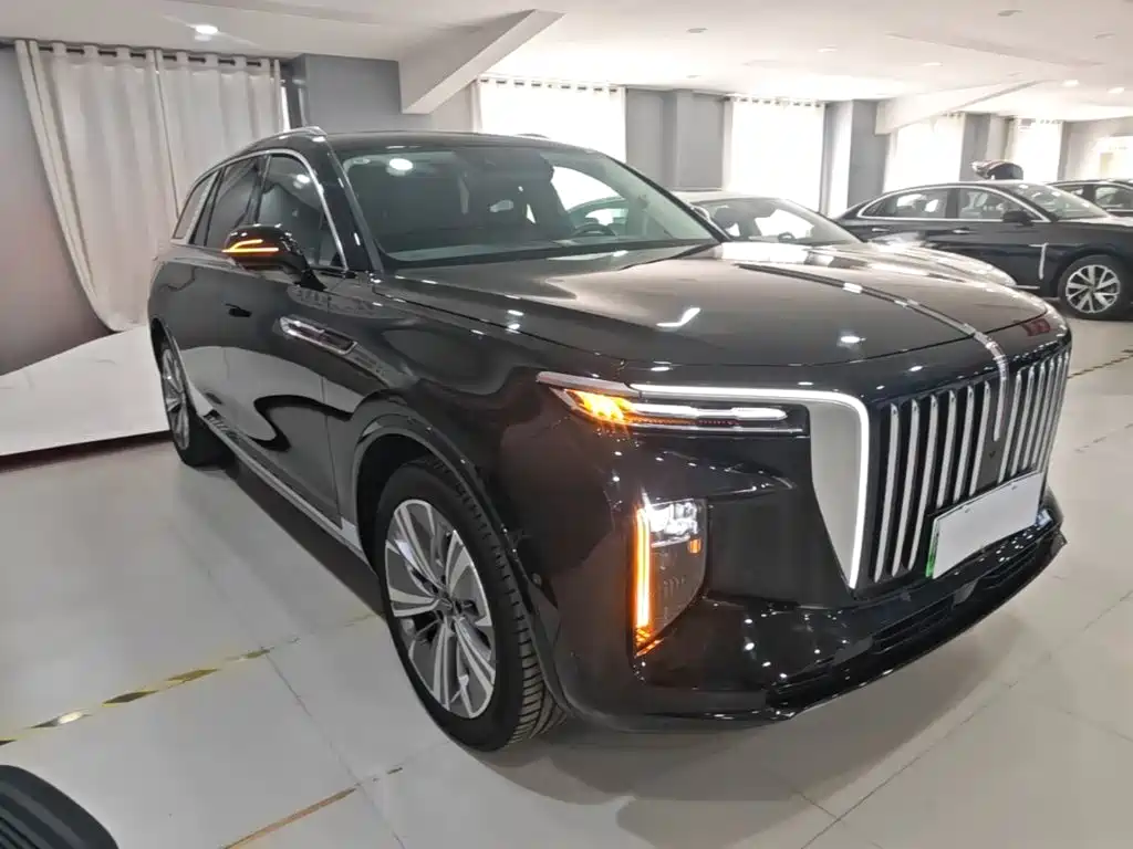 Hongqi Hongqi E-HS9 — миниатюра 4