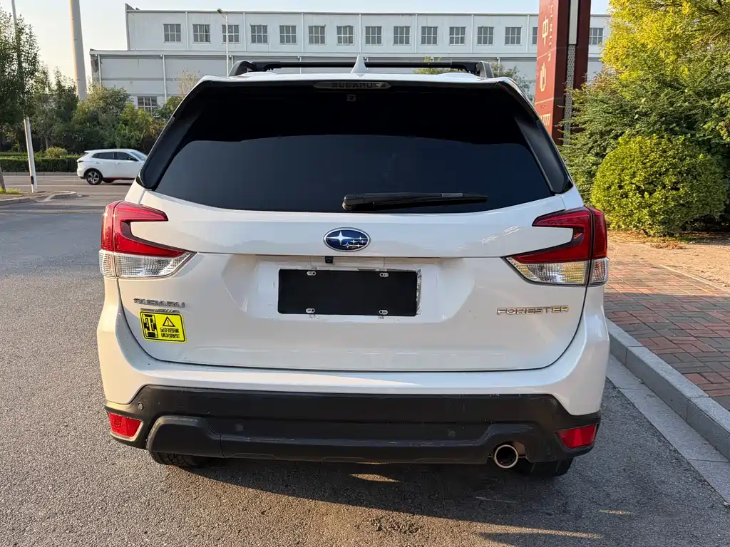 Subaru Forester — миниатюра 15