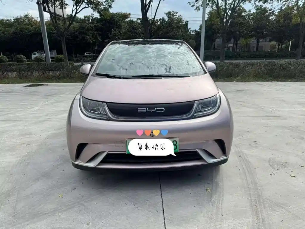 BYD Dolphin — миниатюра 2