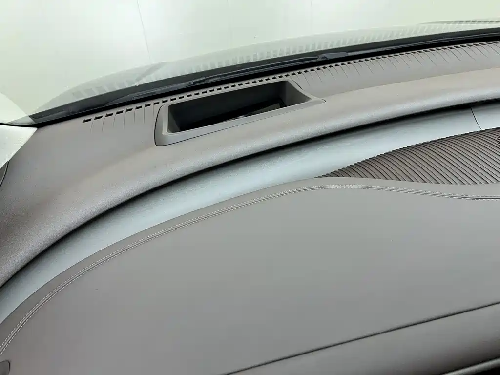 Denza Denza D9 — миниатюра 11