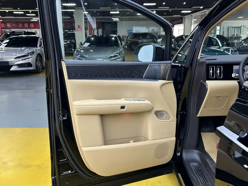 Denza Denza D9 — миниатюра 6