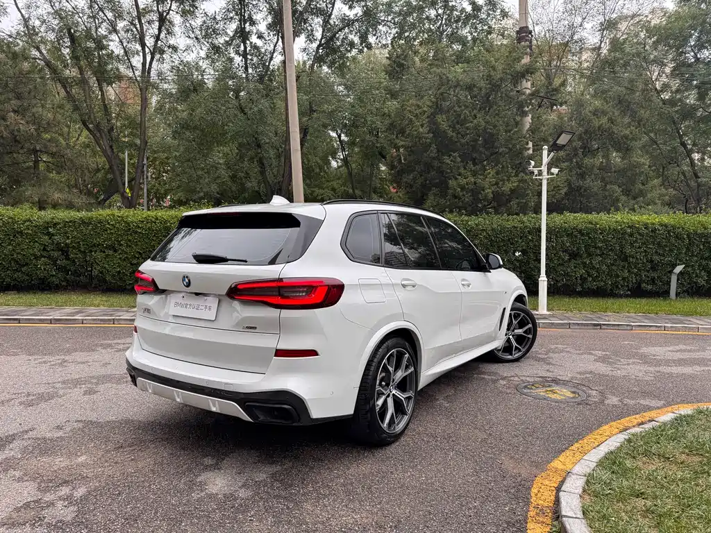 BMW X5 (Import) — миниатюра 5