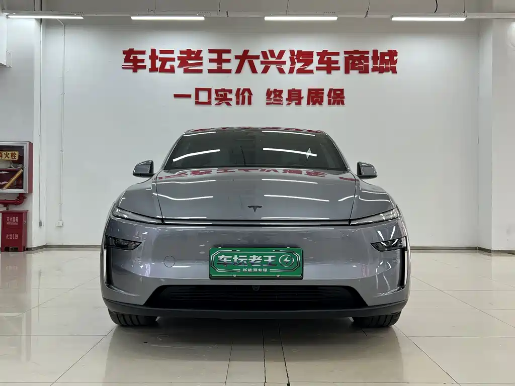 Tesla Model Y — миниатюра 2