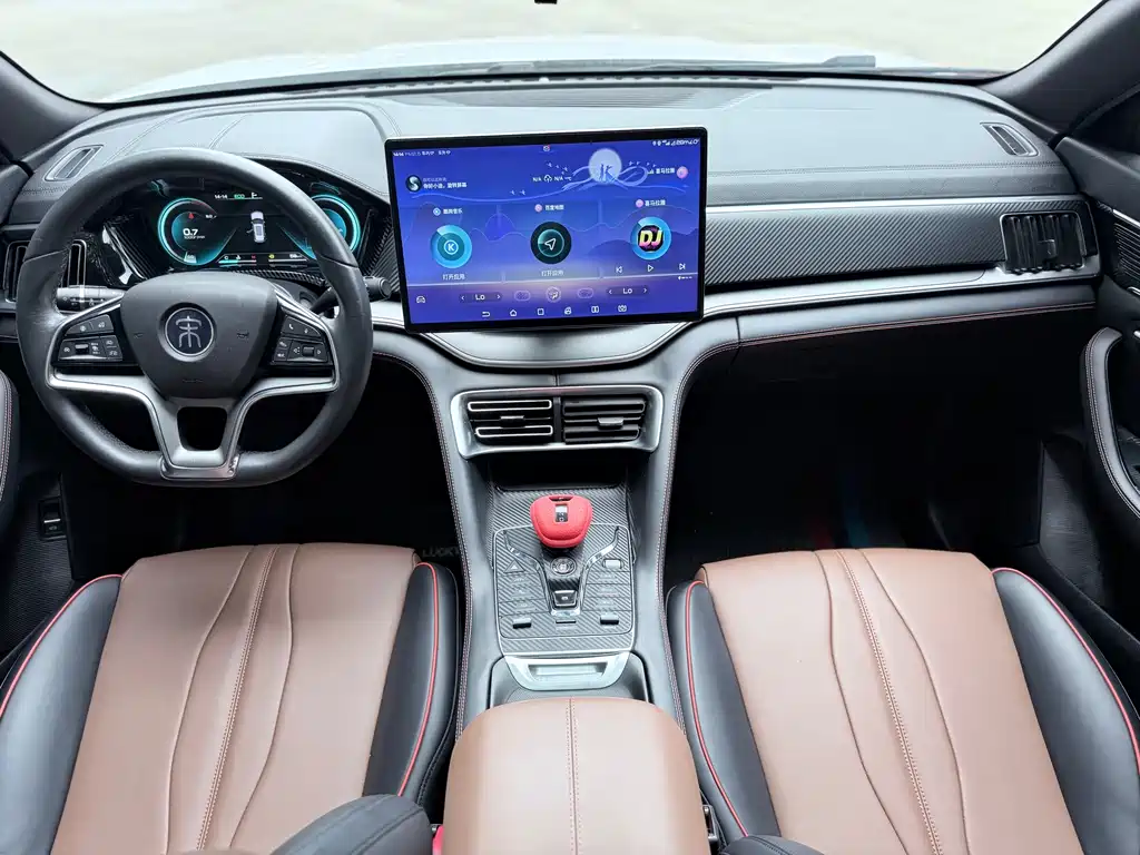 BYD PLUS — миниатюра 7