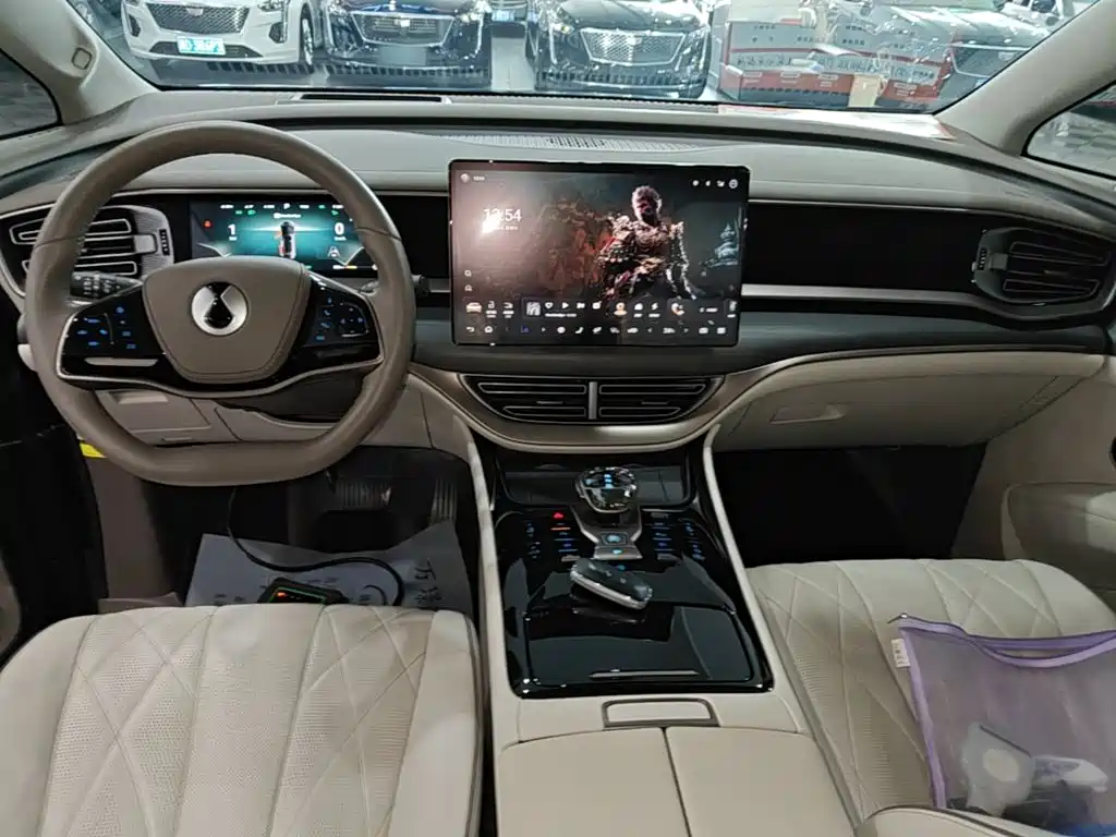 Denza Denza D9 — миниатюра 10