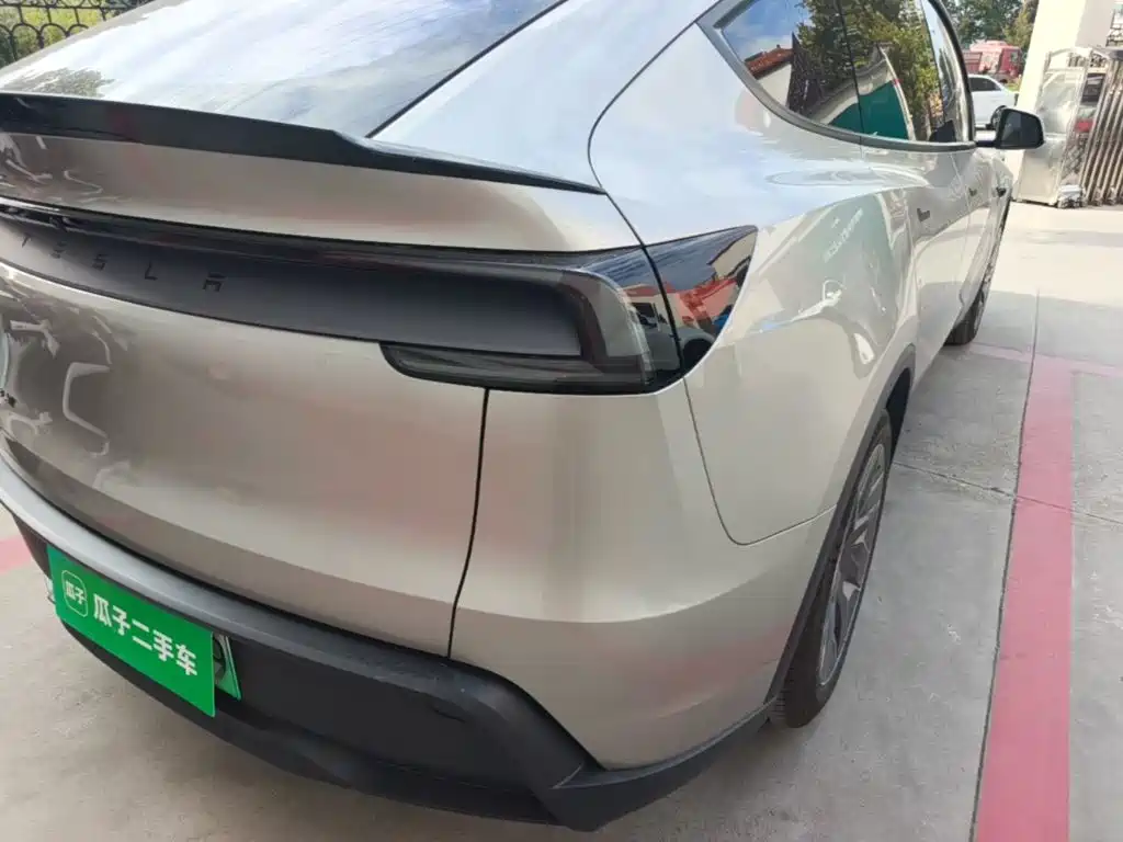 Tesla Model Y L — миниатюра 8