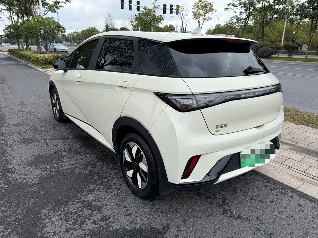 BYD Dolphin — миниатюра 5