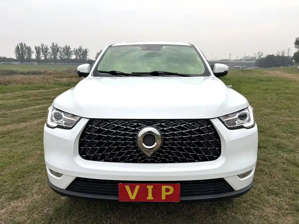 Great Wall Pao — миниатюра 2