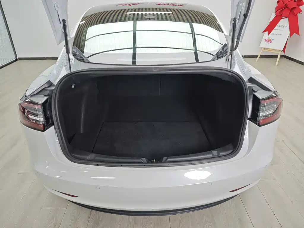 Tesla Model 3 — миниатюра 8