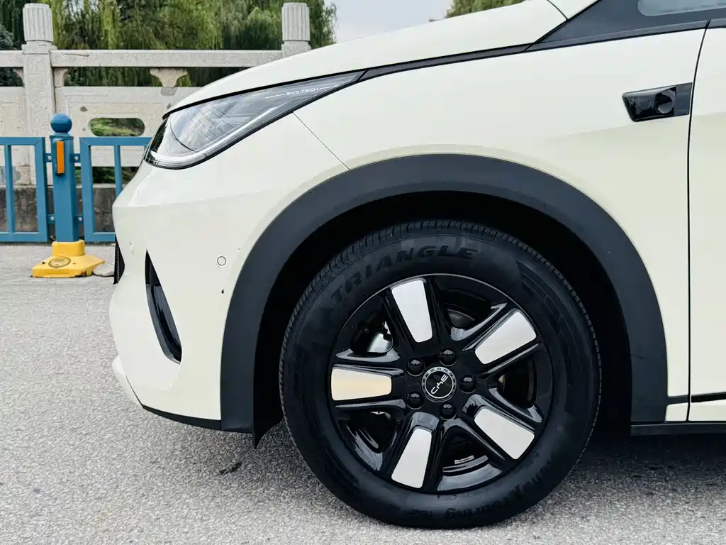 BYD Dolphin — миниатюра 15