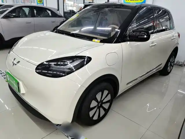 2026 Wuling Motors Binguo