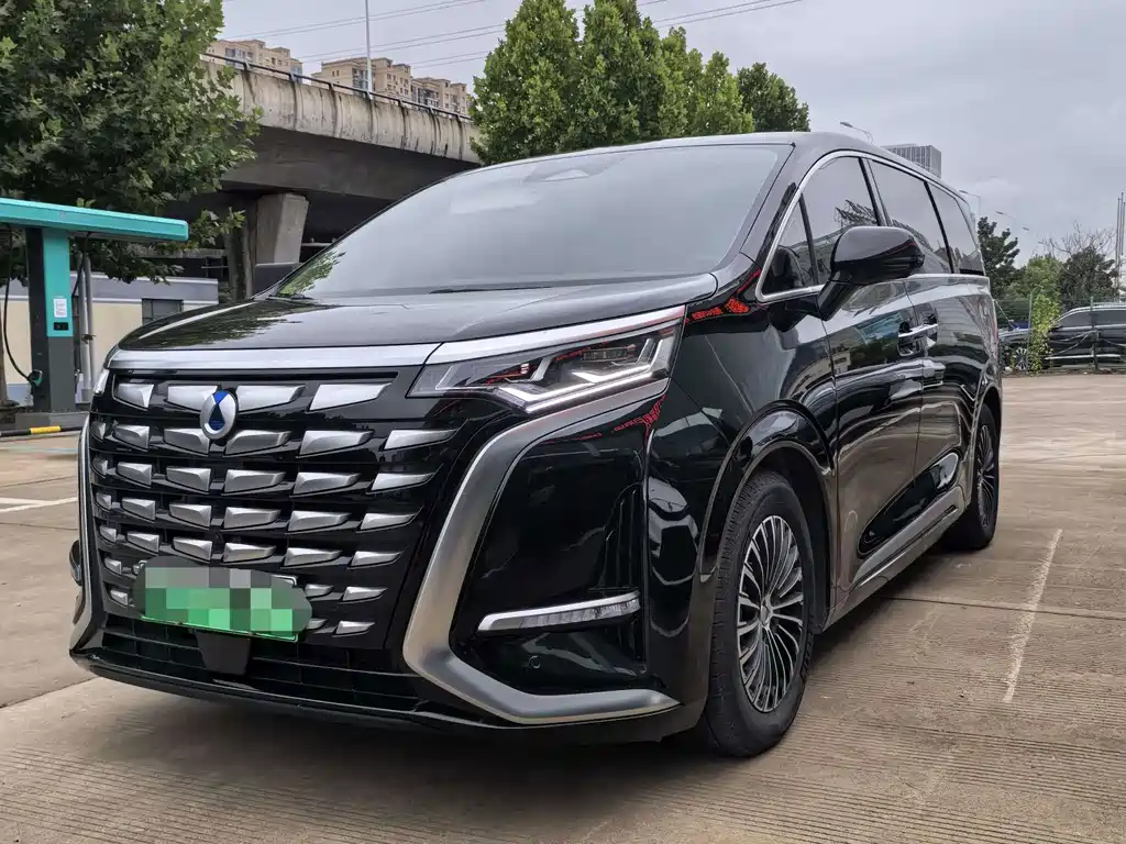 Denza Denza D9