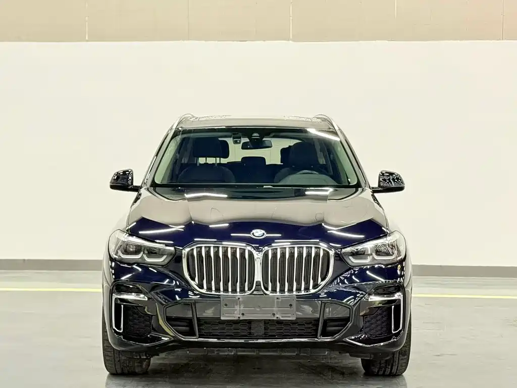 BMW X5 — миниатюра 2