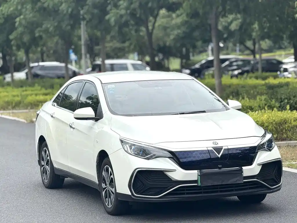 Venucia D60 EV — миниатюра 2